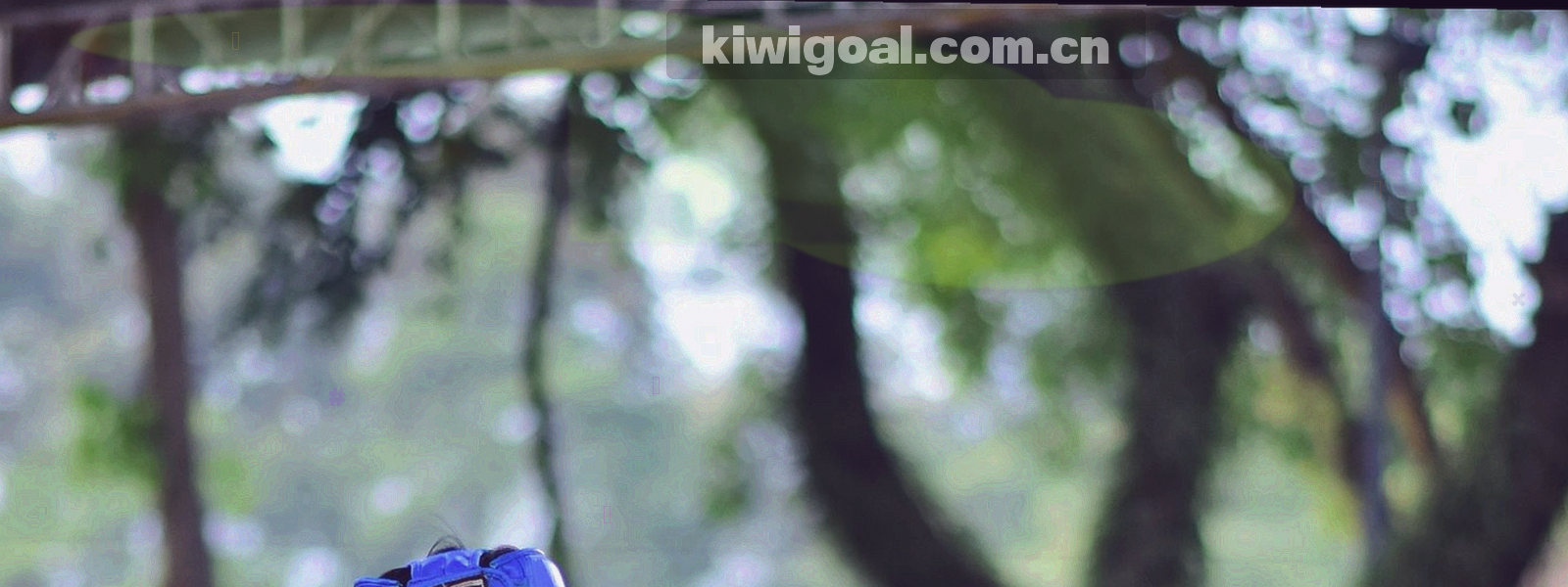 由柔和曲线与圆点构成的抽象信息保护图形